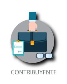 Contabilizate Contabilidad En Linea